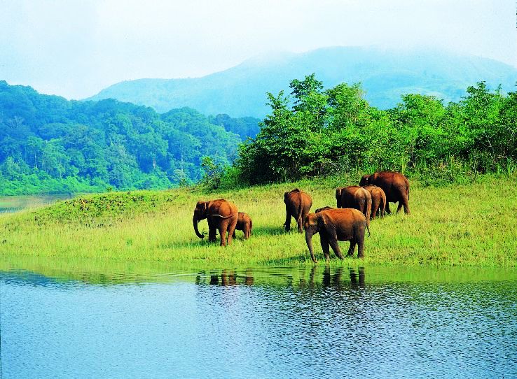 Destinations Tours Kerala